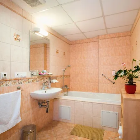 Karpatia Hotel 4*